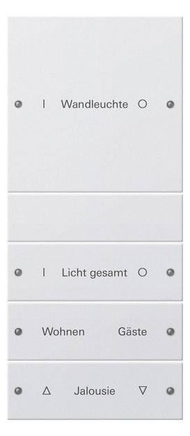 GIRA 220403 Wippenset 4fach (1+3) beschreib. System 55 Reinweiß gl.(lack.)