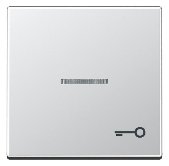 Jung A590KO5TAL Wippe Symbol Tür m.Lichtleiter Serie A aluminium