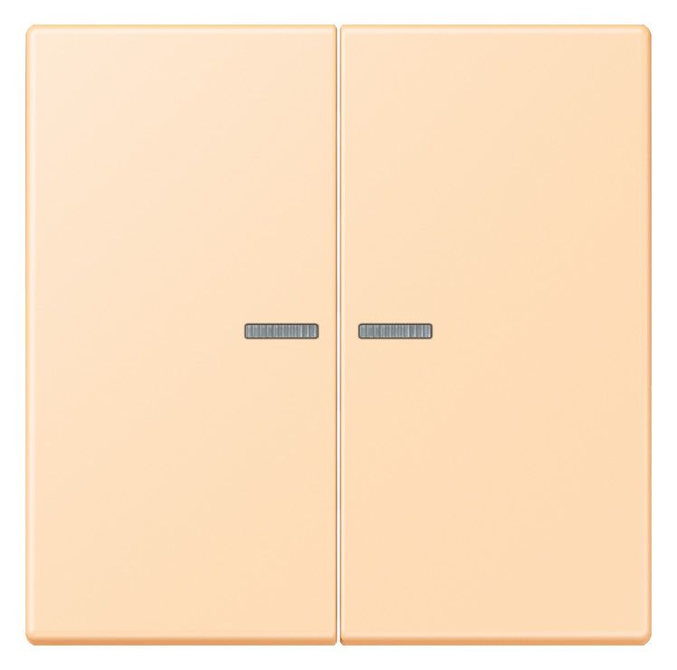 Jung LC995KO5223 Wippe f.Serienschalter KO LC32060