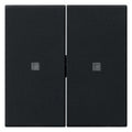 GIRA 5369005 Wippe 2fach unbedruckt KF System 55 Schwarz matt (lackiert)