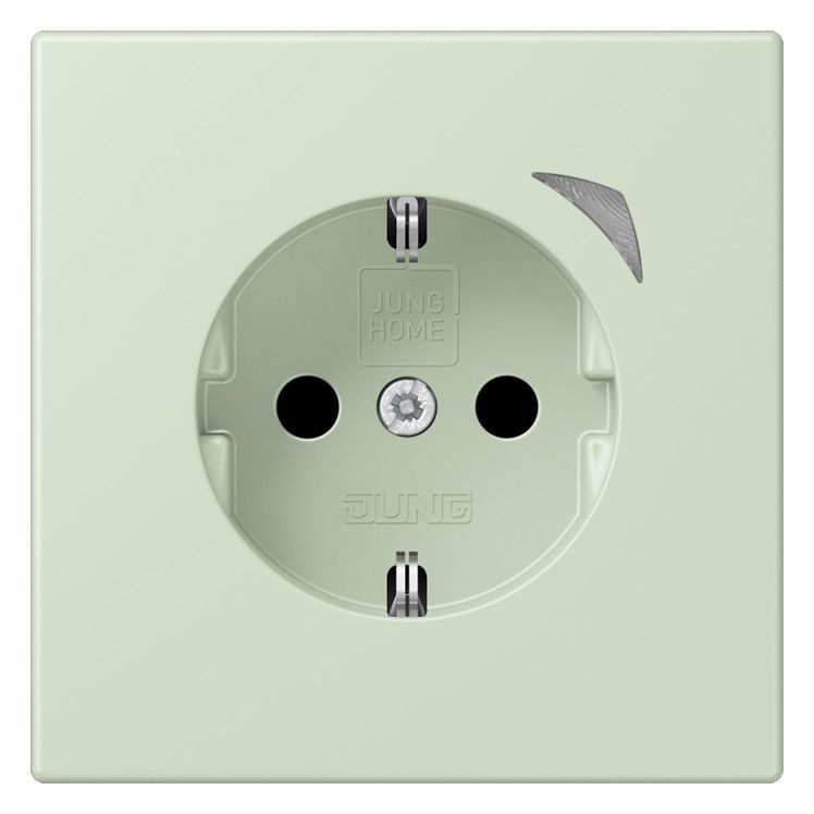 Jung BTLC1521SE218 JUNG HOME SCHUKO Steckdose Energy LC3204