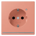 Jung LC1520-OLNW233 SCHUKO-Steckdose m.LED-Licht LC32111