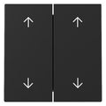 GIRA 3297005 Wippe 2fach Pfeile System 55 Schwarz matt (lackiert)