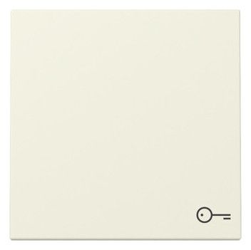 GIRA 328701 Wippe Symbol Tür System 55 Cremeweiß glänzend