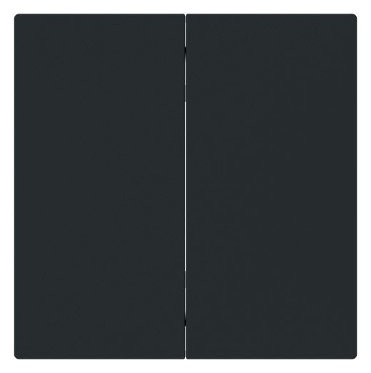 BJ 6736 FoH-45M Wippe 2-fach Smart Switch