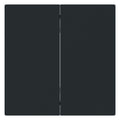 BJ 6736 FoH-45M Wippe 2-fach Smart Switch