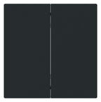 BJ 6736 FoH-45M Wippe 2-fach Smart Switch