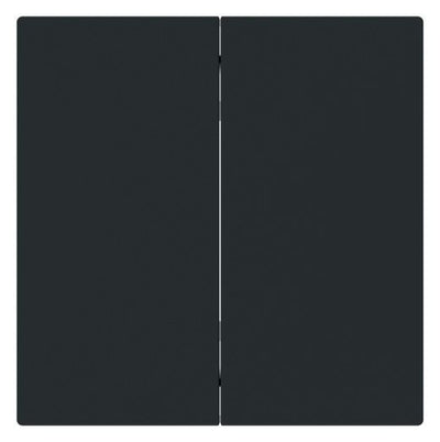 BJ 6736 FoH-45M Wippe 2-fach Smart Switch