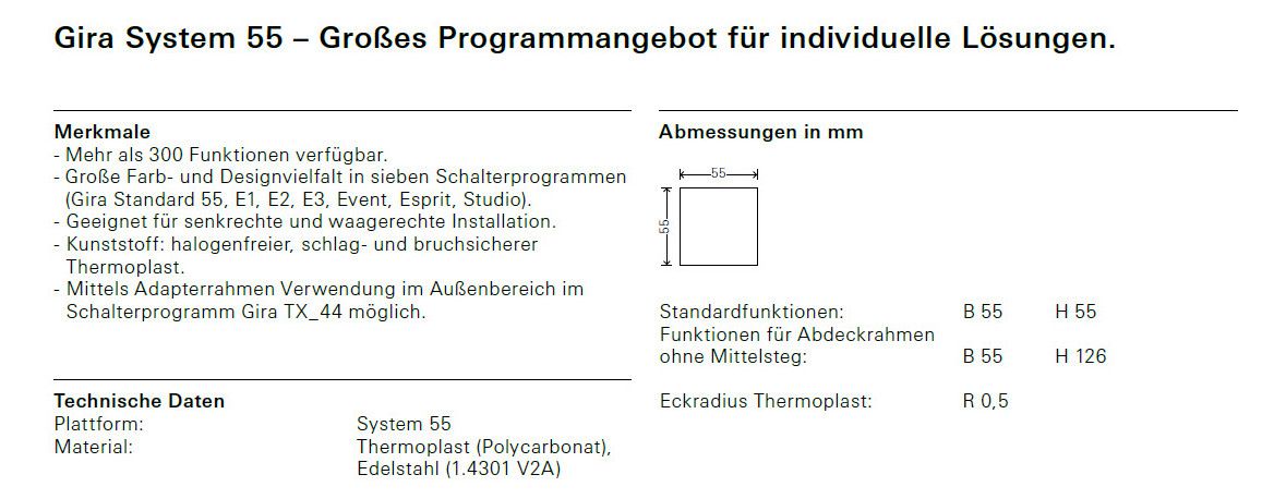 GIRA 3674015 Wippe Kontrollfenster+Symb. Licht System 55 Grau matt (lackiert)