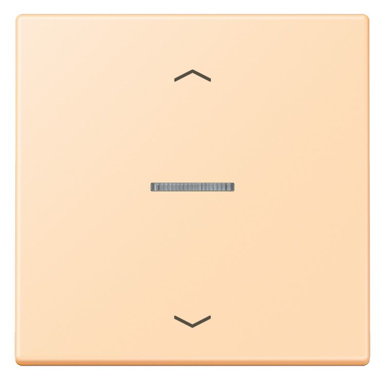 Jung LC101KO5P223 Wippe m.Lichtleiter u. Pfeilsymbolen