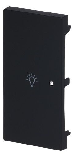 BJ 6231-21-45M Wippe 2-fach links m.Symbol "Licht"