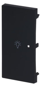 BJ 6231-21-45M Wippe 2-fach links m.Symbol "Licht"