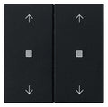 GIRA 5386005 Wippe 2fach Pfeile KF System 55 Schwarz matt (lackiert)