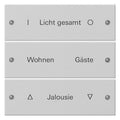 GIRA 2203015 Wippenset 3fach beschreib. System 55 Grau matt (lackiert)