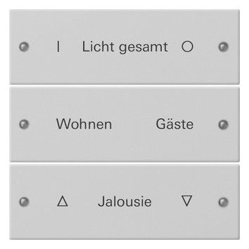 GIRA 2203015 Wippenset 3fach beschreib. System 55 Grau matt (lackiert)