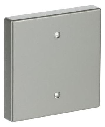 BJ 2570-10-866 Wippe Elektroniktaster