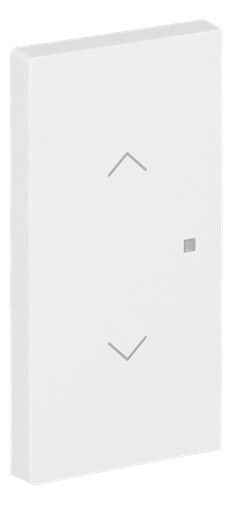 BJ 6232-20-44G Wippe 2-fach m.Symbol "Jalousie"