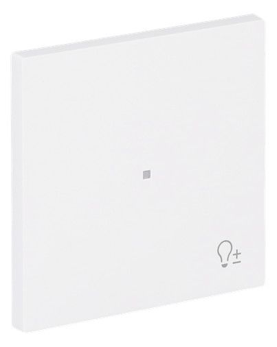 BJ 6234-10-44M Wippe 1-fach m.Symbol "Dimmer"