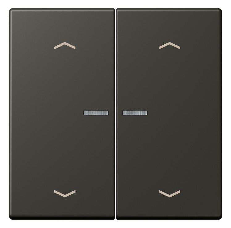 Jung LC102KO5P259 Wippe m.Lichtleiter u. Pfeilsymbolen