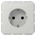 Jung CD1520NALG SCHUKO Steckdose Schriftfeld lichtgrau