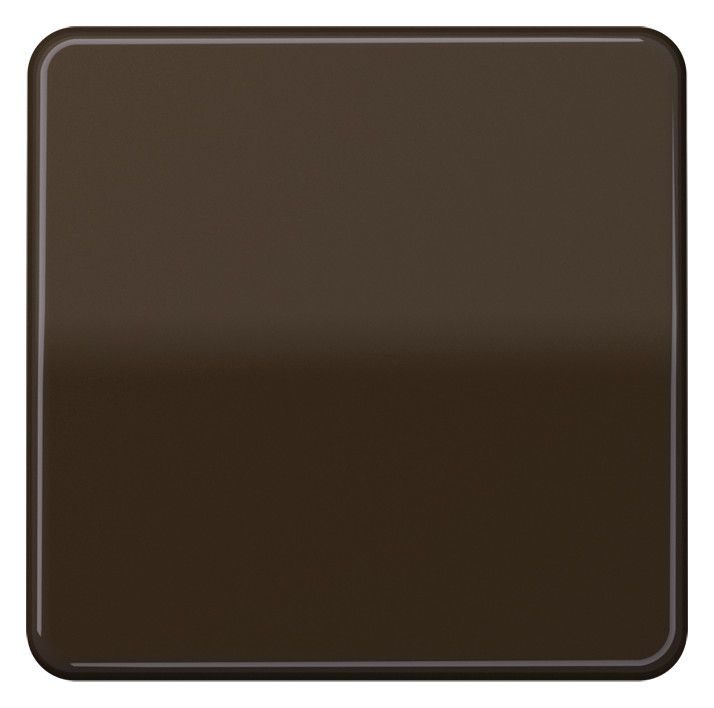 Jung CD101BR Wippe f.Taster