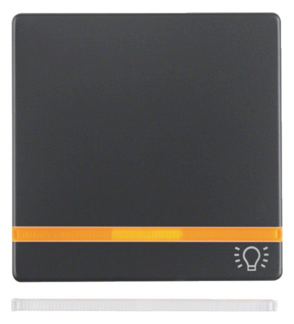 Berker 16216076 Wippe m.2beil.Linsen+ Aufdruck Symbol Licht Q.x anthrazit samt