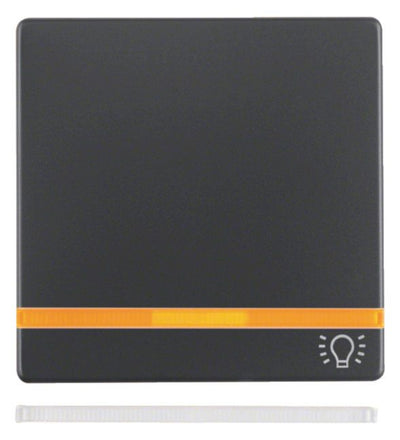 Berker 16216076 Wippe m.2beil.Linsen+ Aufdruck Symbol Licht Q.x anthrazit samt