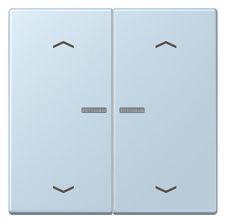 Jung LC102KO5P208 Wippe m.Lichtleiter u. Pfeilsymbolen