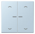 Jung LC102KO5P208 Wippe m.Lichtleiter u. Pfeilsymbolen
