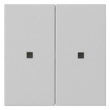 GIRA 5369015 Wippe 2fach unbedruckt KF System 55 Grau matt (lackiert)
