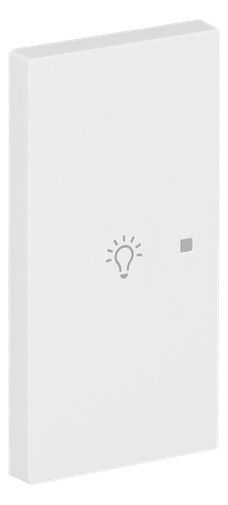 BJ 6231-21-44M Wippe 2-fach links m.Symbol "Licht"