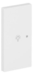 BJ 6231-21-44M Wippe 2-fach links m.Symbol "Licht"