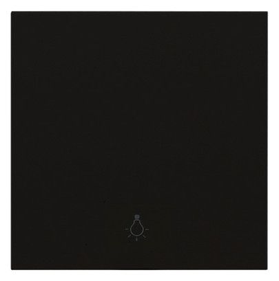Panasonic WDTR00161EBE-EU1 Plus 55 Wippe matt schwarz m.Symbol Licht