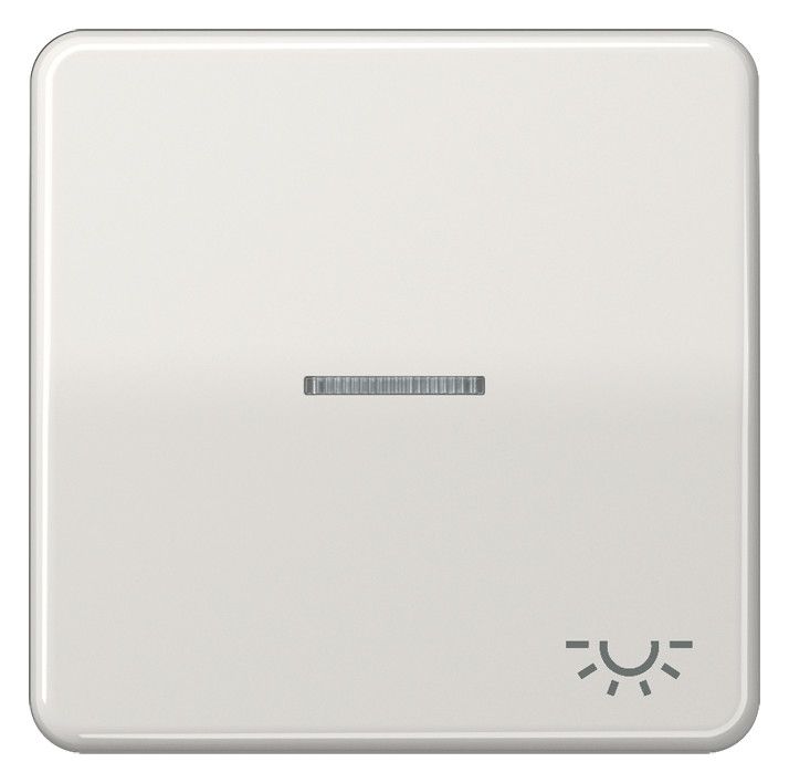 Jung CD590KO5LLG Wippe Symbol Licht m.Lichtleiter lichtgrau