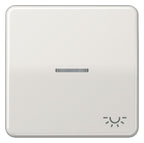 Jung CD590KO5LLG Wippe Symbol Licht m.Lichtleiter lichtgrau