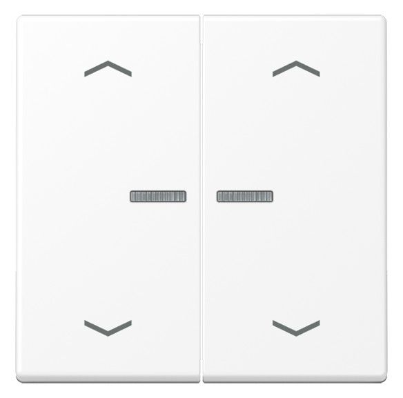 Jung A 102 KO5P BF WWM Wippe m.Lichtleiter m.Pfeilsymbolen f.KNX