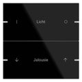 GIRA 503205 Wippenset 2fach indiv. Tastsensor4 TS4 Glas Schwarz
