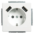 BJ 20 EUCB2USB-884 SCHUKO-/2x USB-Steckdose