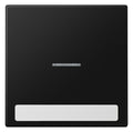 Jung LS 990 NAKO5 SWM Wippe 1f m.Lichtleiter m.Schriftfeld Serie LS gsw