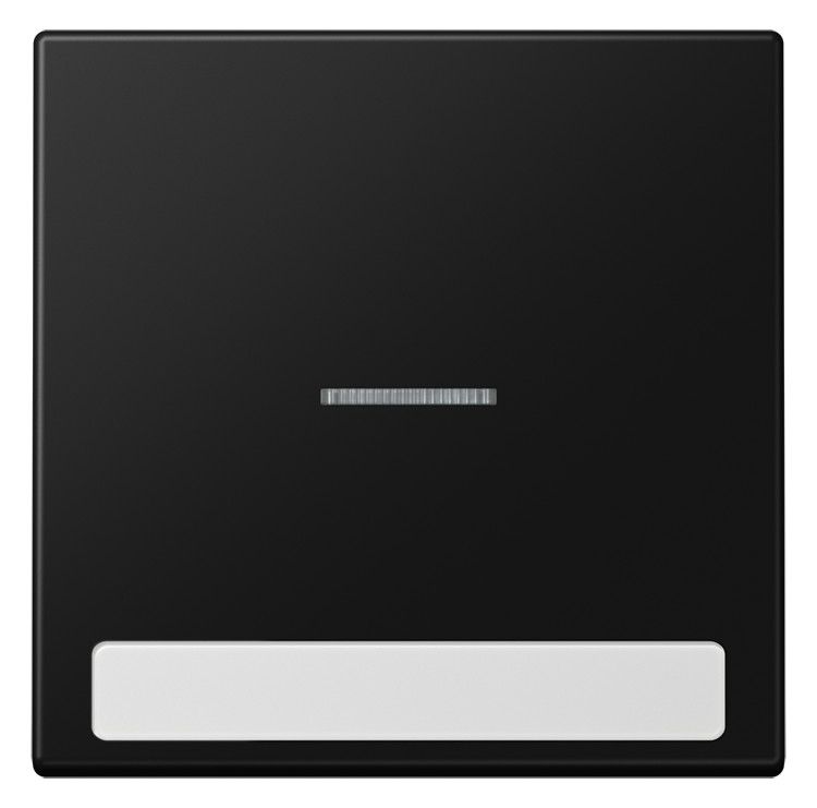 Jung LS 990 NAKO5 SWM Wippe 1f m.Lichtleiter m.Schriftfeld Serie LS gsw