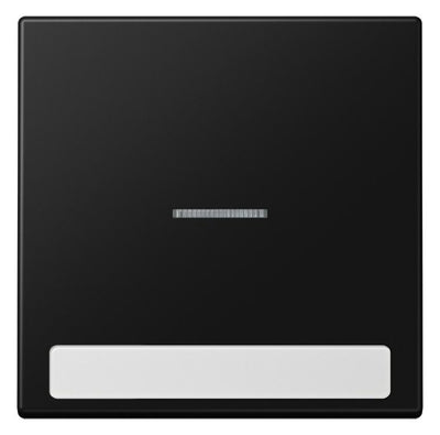 Jung LS 990 NAKO5 SWM Wippe 1f m.Lichtleiter m.Schriftfeld Serie LS gsw