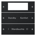 GIRA 2212005 Wippenset 2fach Plus beschreib. System 55 Schwarz matt(lack.)
