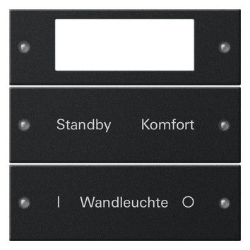 GIRA 2212005 Wippenset 2fach Plus beschreib. System 55 Schwarz matt(lack.)