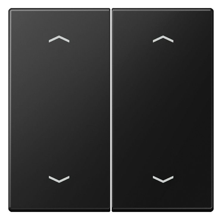 Jung LS 995 MP SWM Wippe 2fach m.4 Pfeilsymbolen Serie LS gsw matt