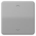 Jung CD101PGR Wippe f.Tasterpfeile