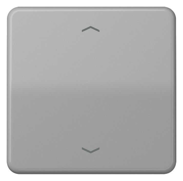 Jung CD101PGR Wippe f.Tasterpfeile