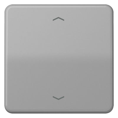 Jung CD101PGR Wippe f.Tasterpfeile