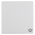 Berker 16206049 Wippe m.Aufdruck Symbol Licht Q.1/Q.3 polarweiß samt