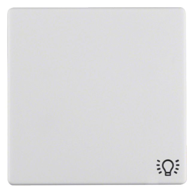 Berker 16206049 Wippe m.Aufdruck Symbol Licht Q.1/Q.3 polarweiß samt
