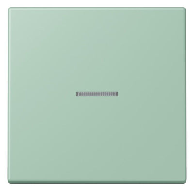 Jung LC990KO5217 Wippe f.Schalter/Taster KO LC32041